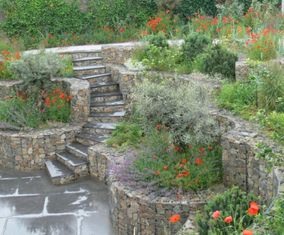 Romantische tuin met klaprozen