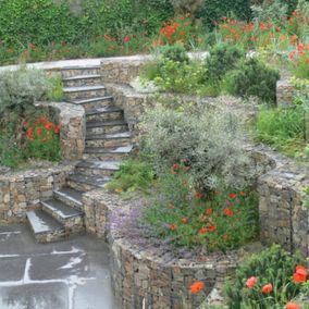 Romantische tuin met klaprozen