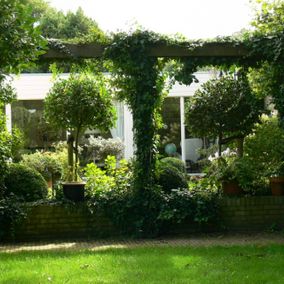 Romantische tuin met klimop