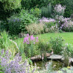 Romantische tuin met paarse bloemen